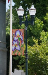 Banners on Parade along Main Street