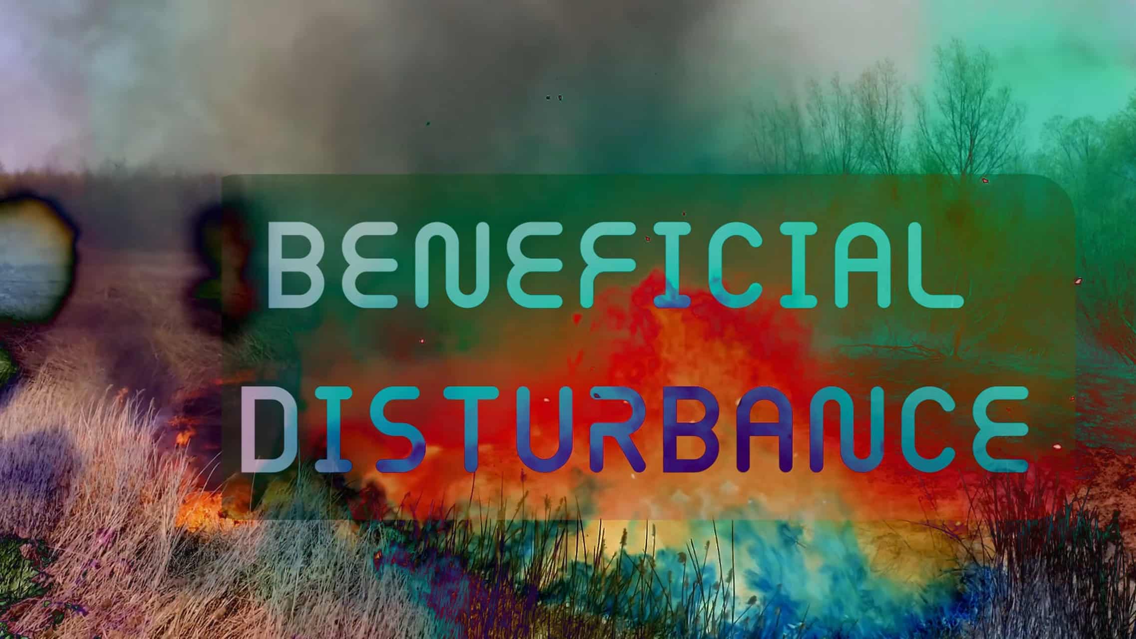 Beneficial Disturbance, 2023, Giclée print, Still from the digital video FIRELAND The Seer and the Seed
