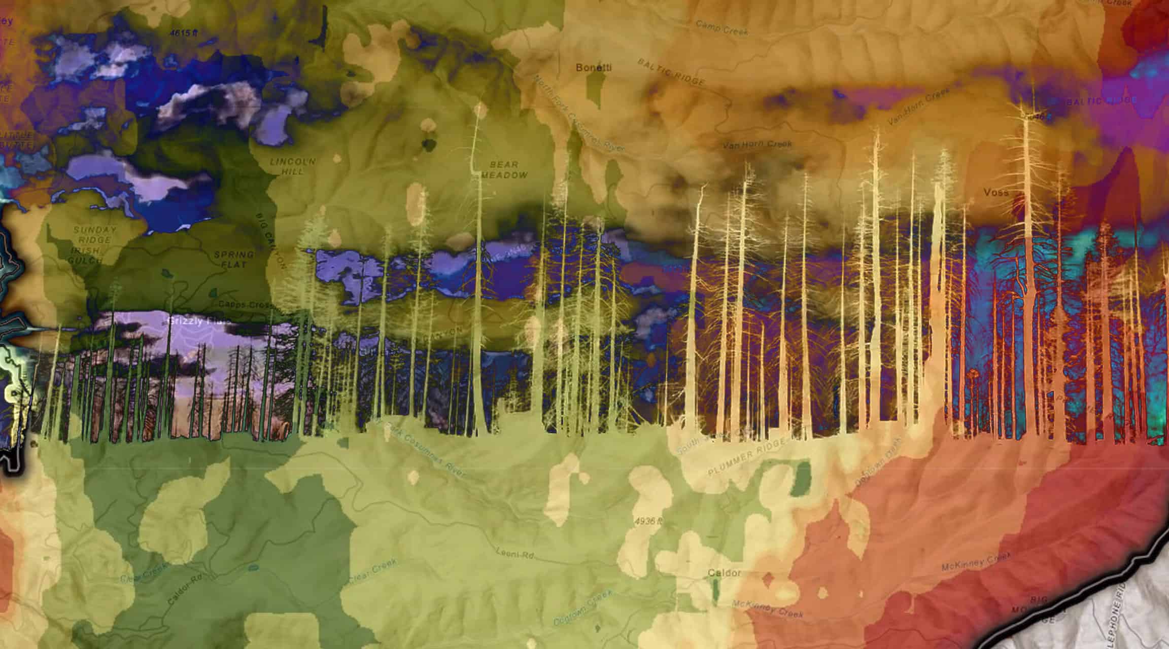 Caldor Burn Progression, 2023, Giclée print, Still from the digital video FIRELAND Whichever Way the Wind