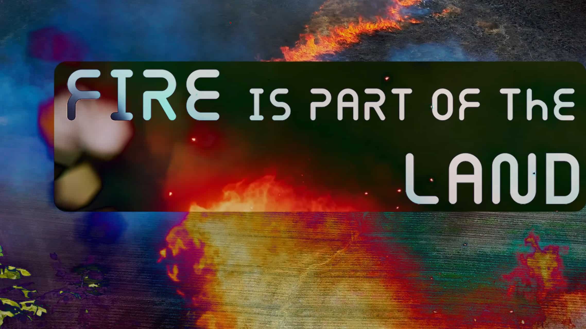 Fire Is Part of The Land, 2023, Giclée print, Still from digital video FIRELAND The Seer and the Seed