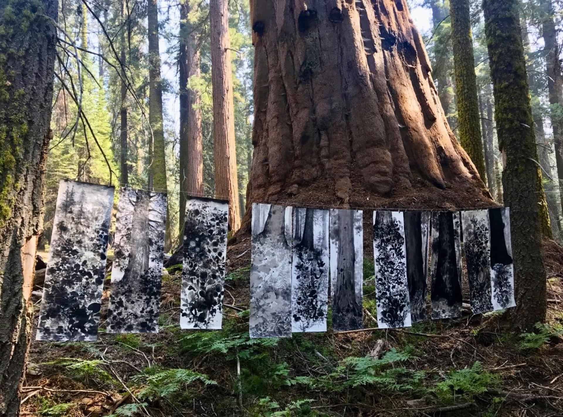 Andie Thrams, ForestSong, 2020-present, Ink, watercolor, gouache, pastel, wildfire charcoal, mica, tree sap on kozo paper over canvas