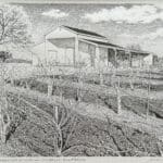 Oran Miller, Bumgarner Winery Portrait (Winter), 2021, Ink