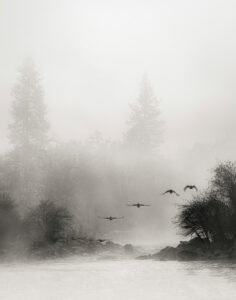 38_FabSowa